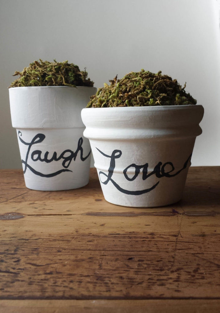 DIY How To Make Craft Moss In Clay Pots Home Decor